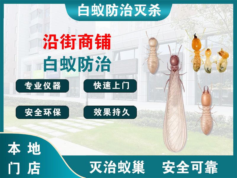 泗洪沿街商铺白蚁防治