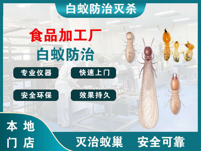 泗洪食品加工厂白蚁防治