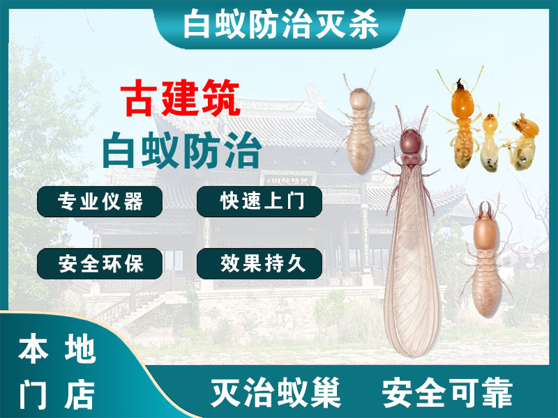 泗洪古建筑白蚁防治