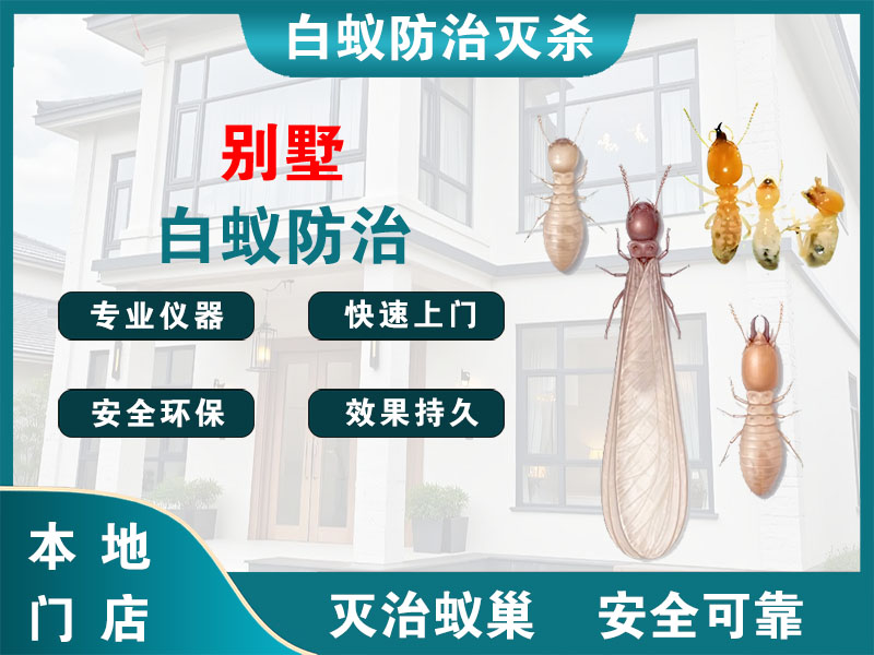 泗洪别墅白蚁防治